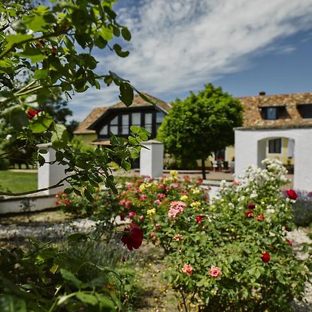 Gasthaus Videki Haz Tagyon Exterior foto