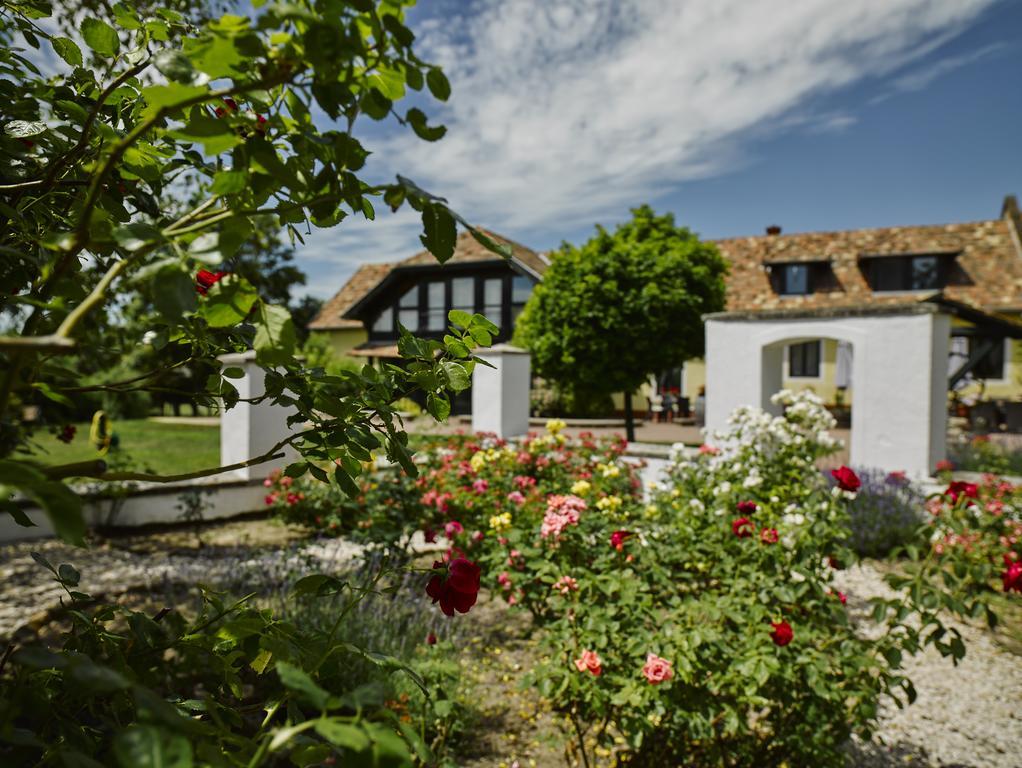 Gasthaus Videki Haz Tagyon Exterior foto